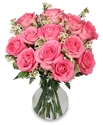 Chantilly Pink Roses