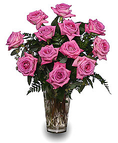 Sweet Athena&#039;s Roses