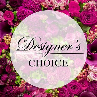 A Design&#039;s Choice