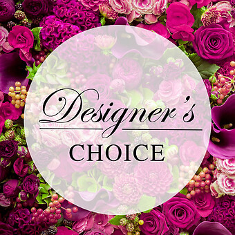 Deal of the Day - Designer&#039;s Choice