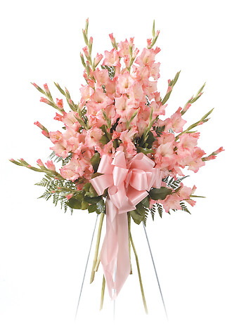 Lovely in Pink/Gladiolas