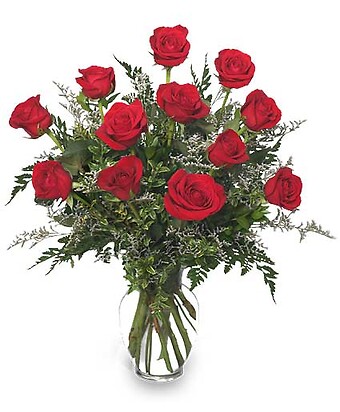 Classic Dozen Roses